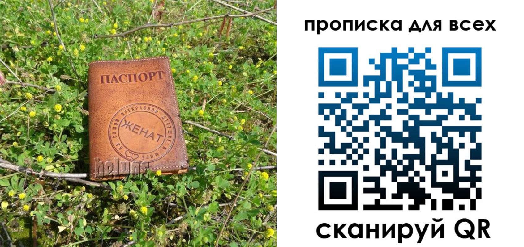 прописка поиск в Карасуке